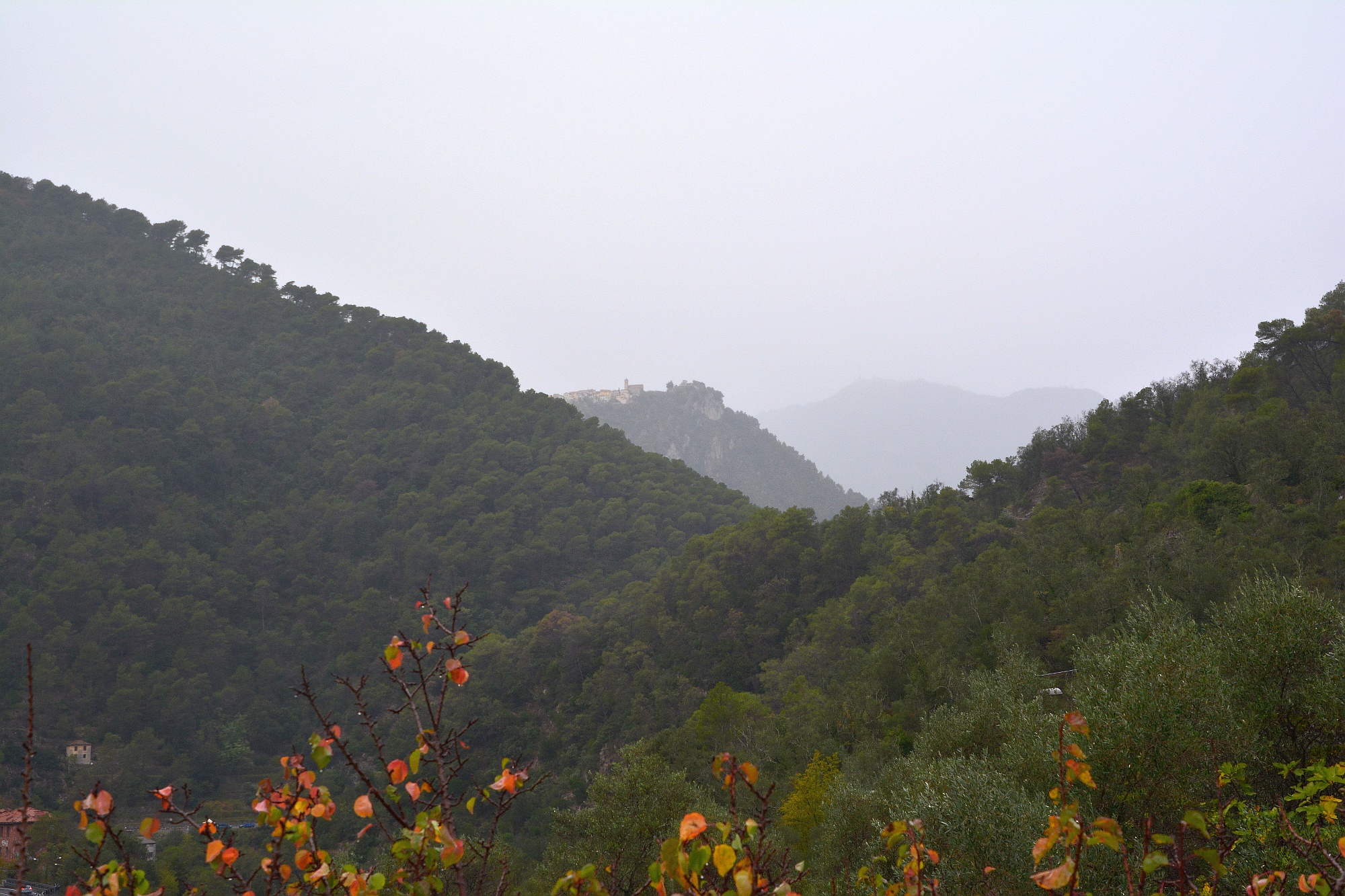 Roya-Tal | Fanghetto